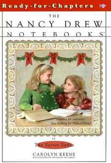 Nancy Drew Notebooks Cover Art 3b