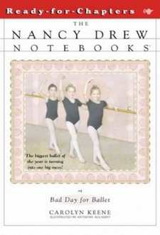 Nancy Drew Notebooks Cover Art 4b