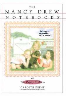 Nancy Drew Notebooks Cover Art 12b