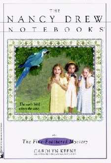Nancy Drew Notebooks Cover Art 31b