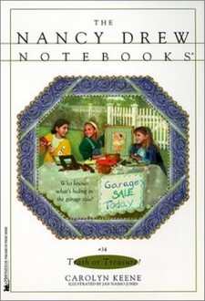 Nancy Drew Notebooks Cover Art 34b