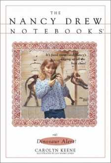 Nancy Drew Notebooks Cover Art 40b