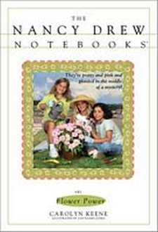 Nancy Drew Notebooks Cover Art 41b