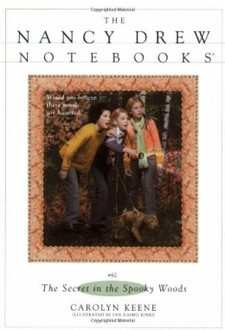 Nancy Drew Notebooks Cover Art 63b