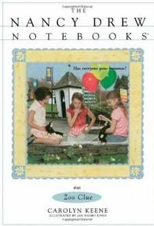 Nancy Drew Notebooks Cover Art 66b